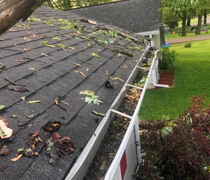 Branch Fell Into Roof During Storm