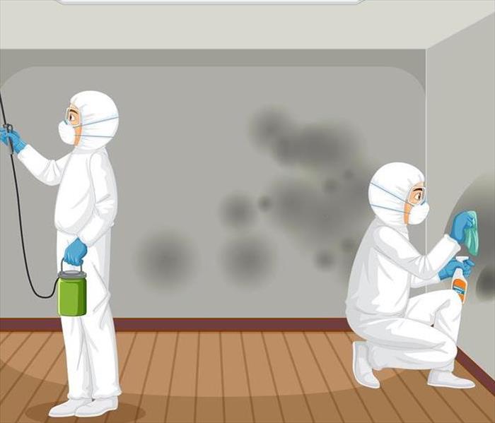 <a href="https://www.freepik.com/free-vector/man-protective-hazmat-suit-cleaning-mold-wall_28457916.htm#query=home%20mold%20i